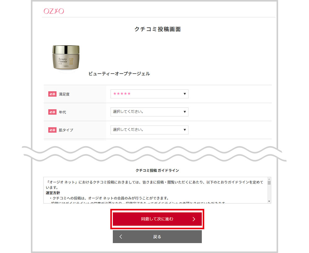 STEP2 必須項目を入力し、【同意して次に進む】ボタンをクリック。