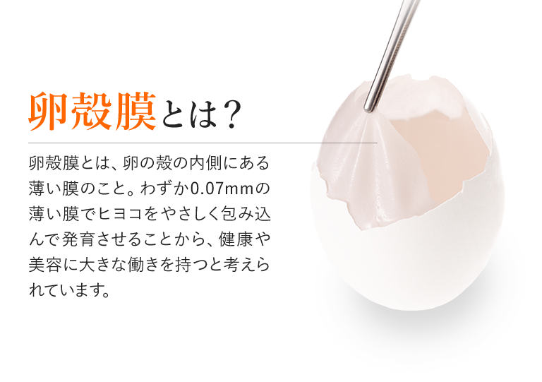 卵殻膜とは?