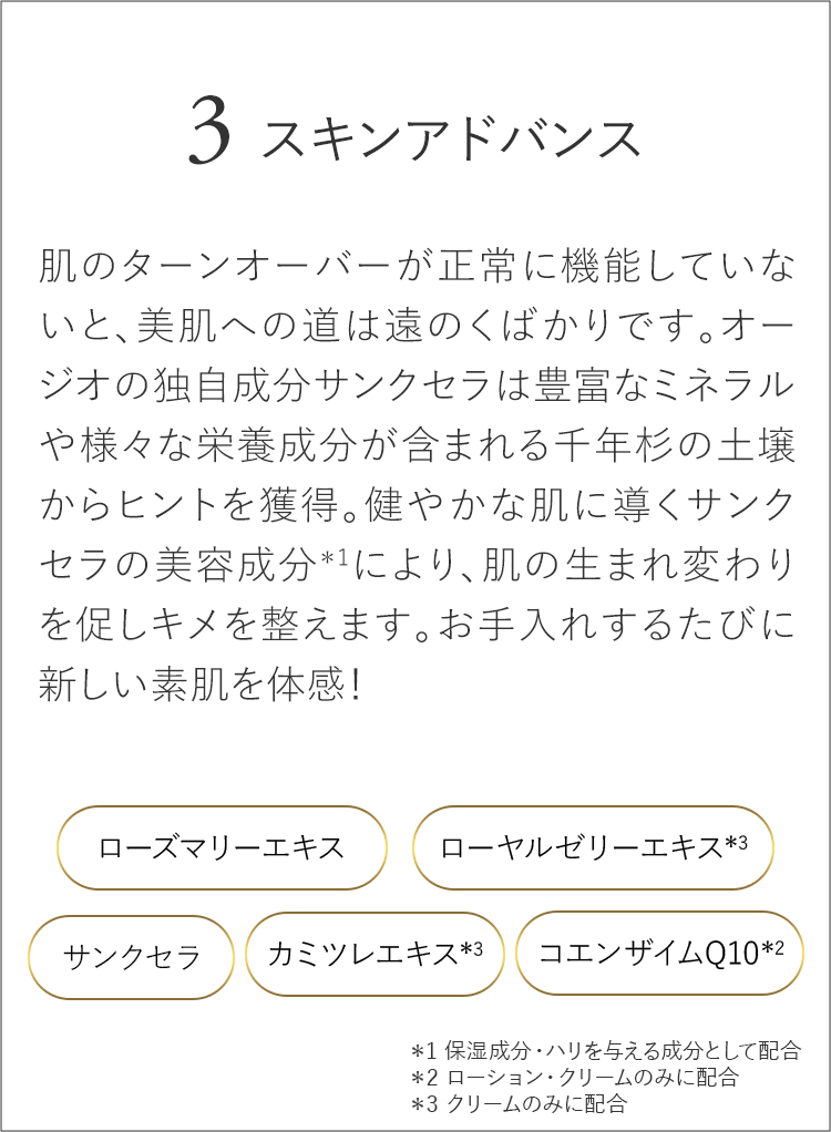 スキンアドバンス