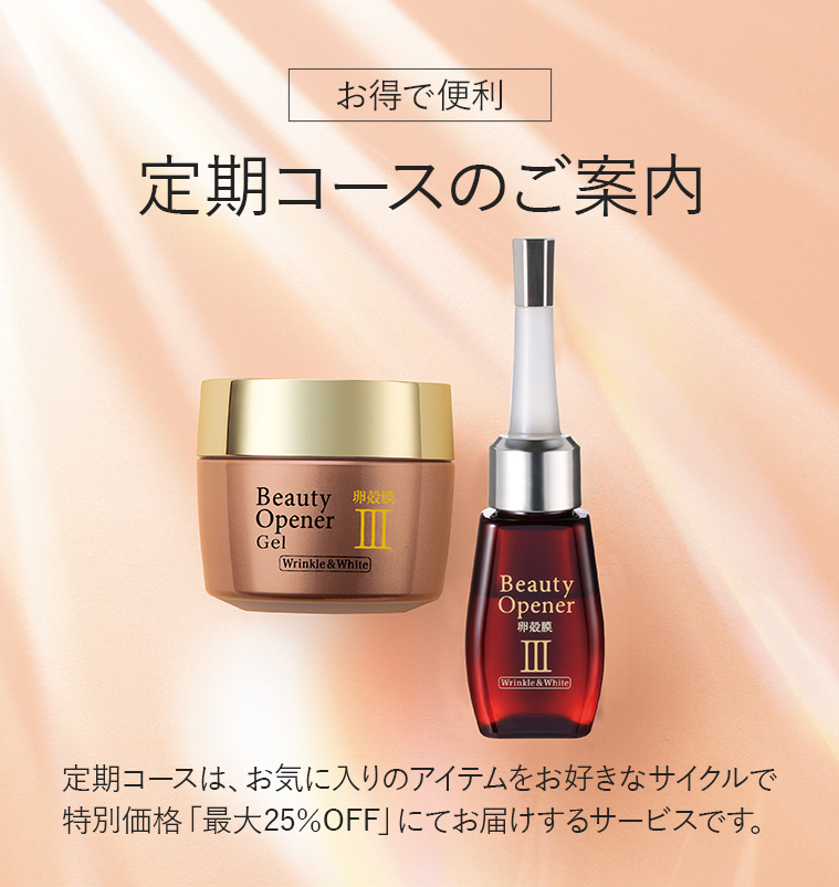 定期コースのご案内